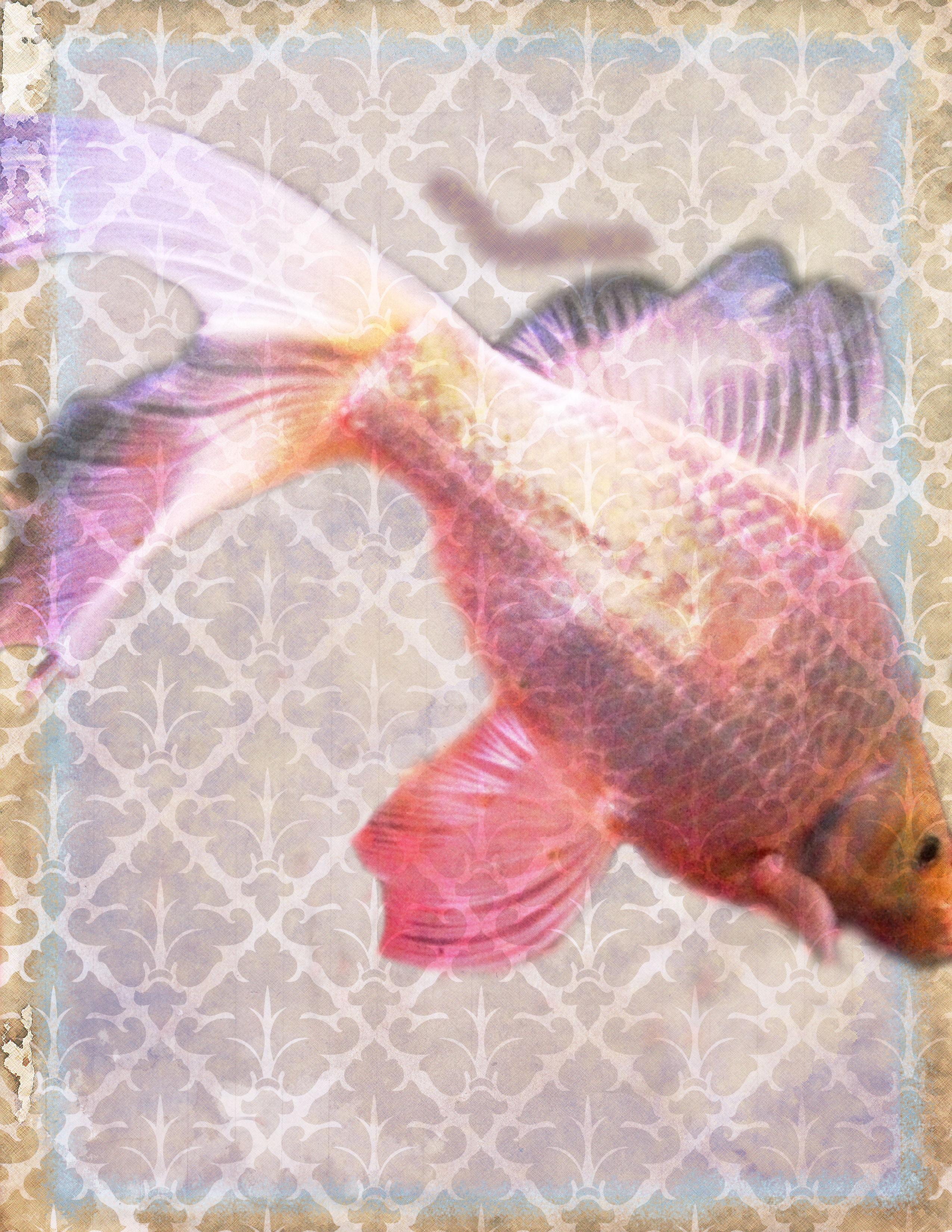 Animal 3: The Koi Life